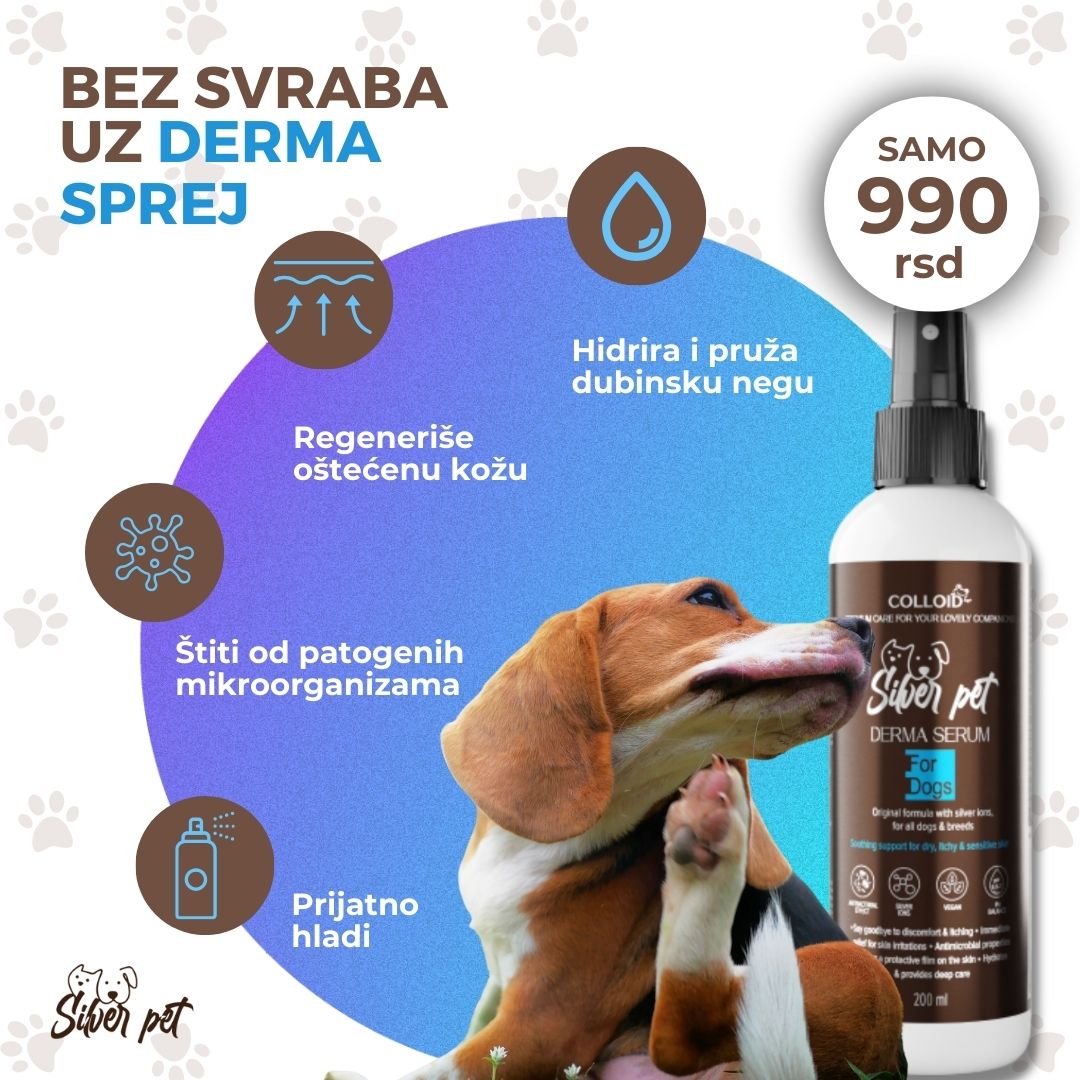 Derma Serum - Slika 2